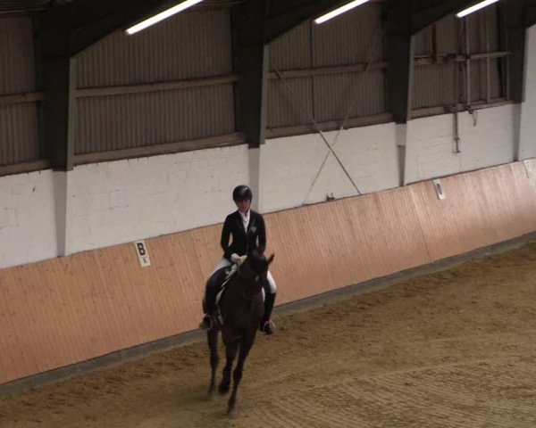 Reitturnier Datteln 2021