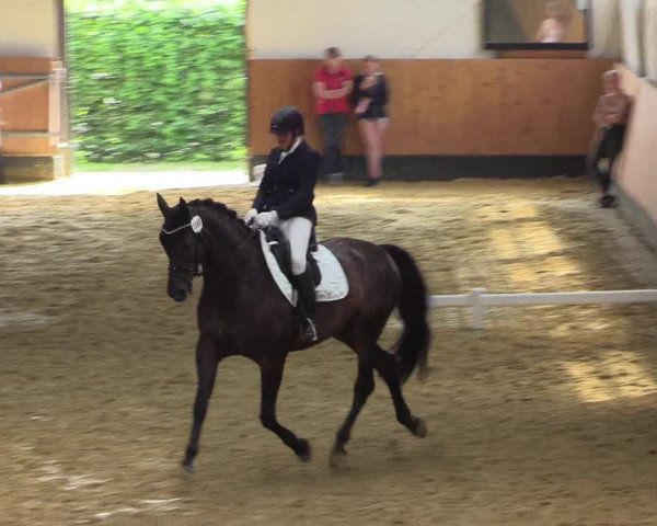 Reitturnier Datteln 2021