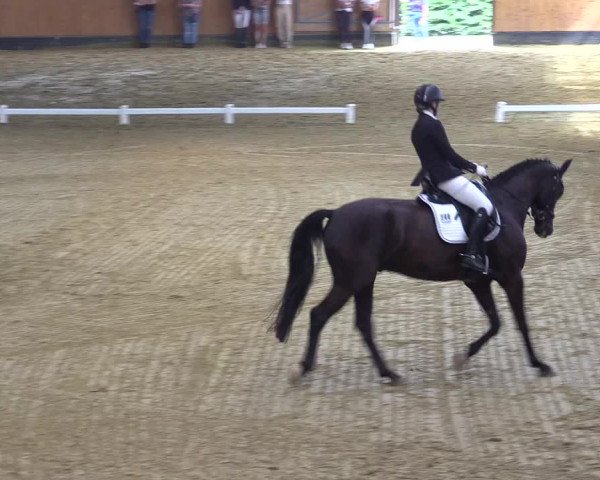 Reitturnier Datteln 2021