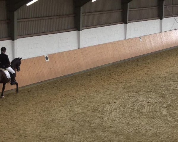 Reitturnier Datteln 2021