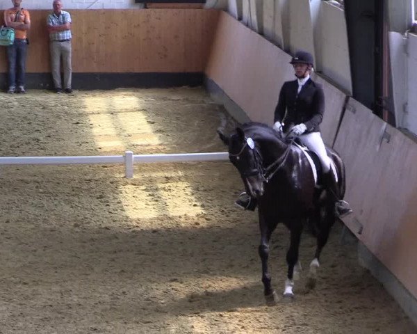Reitturnier Datteln 2021