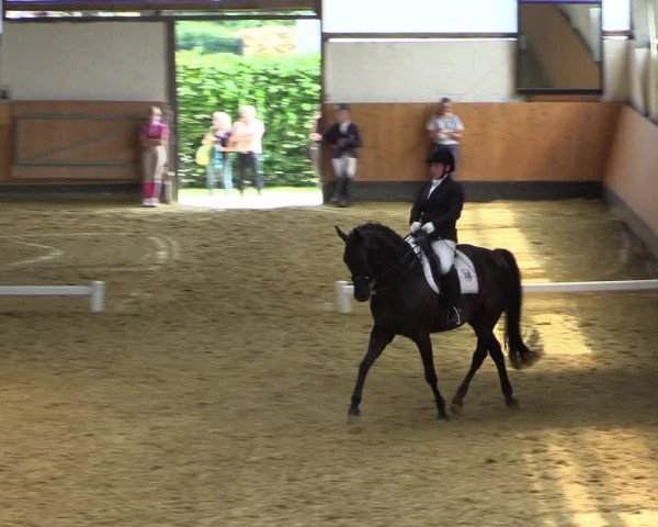 Reitturnier Datteln 2021