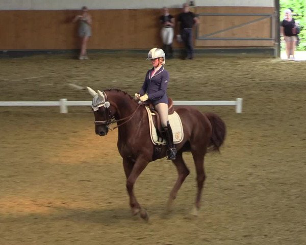 Reitturnier Datteln 2021