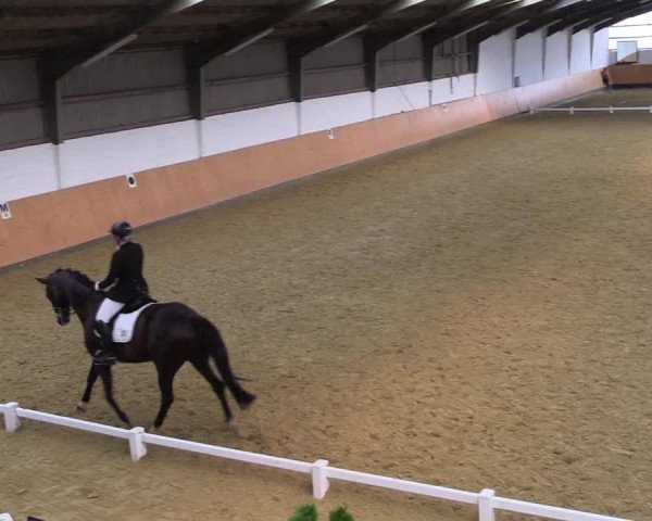 Reitturnier Datteln 2021