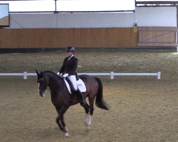 Reitturnier Datteln 2021