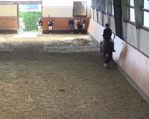 Reitturnier Datteln 2021