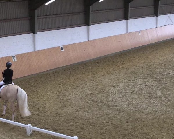 Reitturnier Datteln 2021