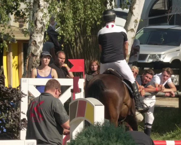 Springturnier und Reiterfest Königsbach 2021
