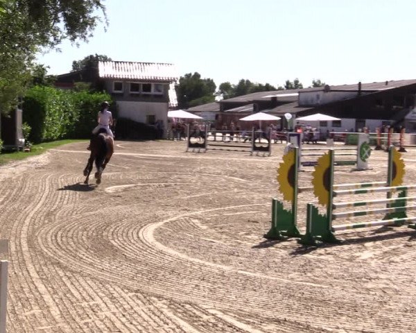 Reitturnier Datteln 2021