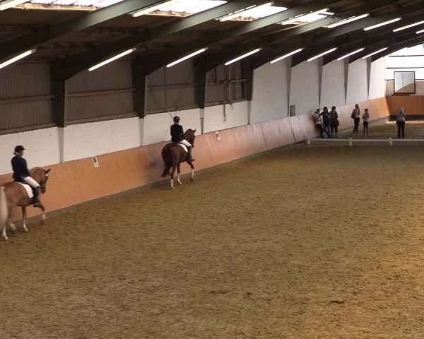 Reitturnier Datteln 2021