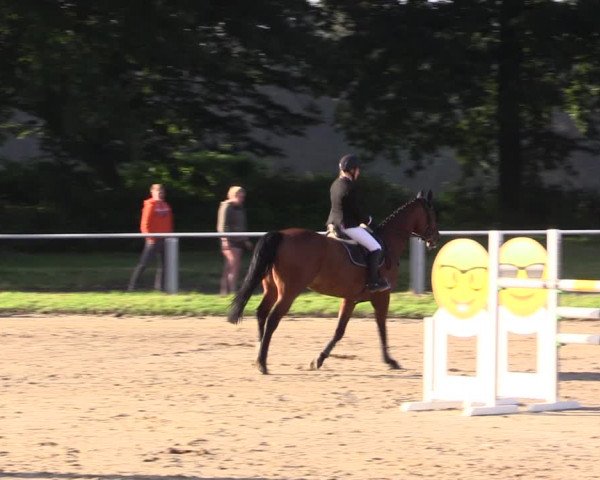 Reitturnier Datteln 2021