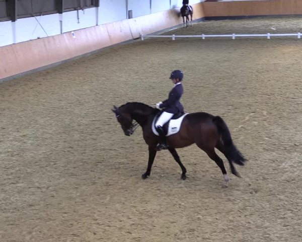 Reitturnier Datteln 2021