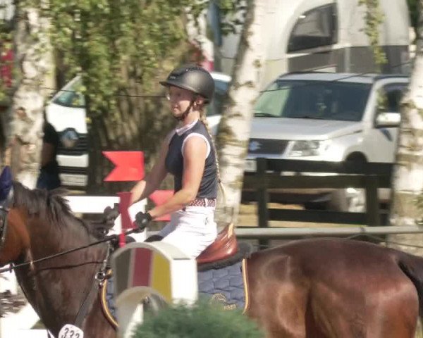 Springturnier und Reiterfest Königsbach 2021