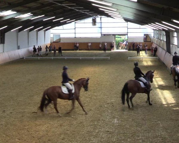 Reitturnier Datteln 2021