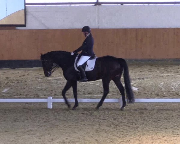 Reitturnier Datteln 2021