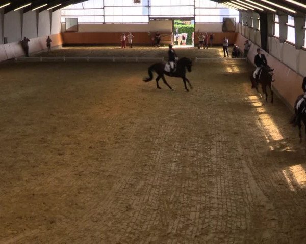 Reitturnier Datteln 2021