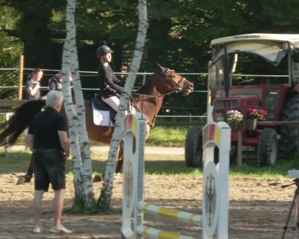 Springturnier und Reiterfest Königsbach 2021