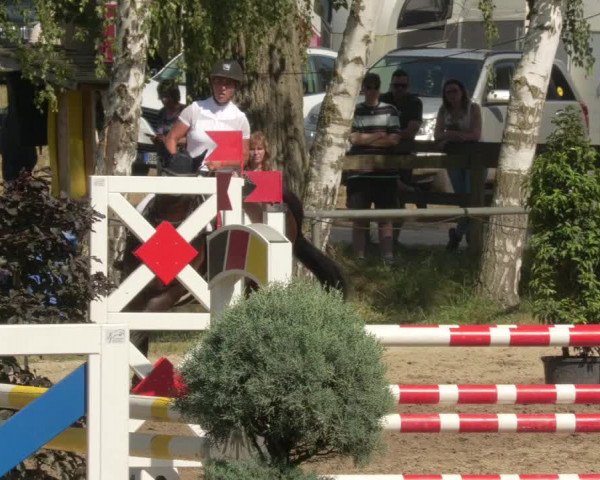 Springturnier und Reiterfest Königsbach 2021