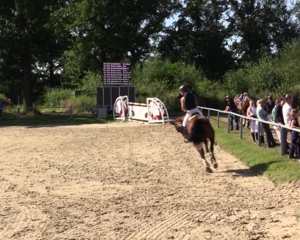 Reitturnier Datteln 2021