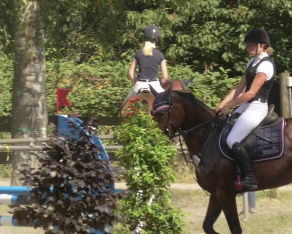 Springturnier und Reiterfest Königsbach 2021