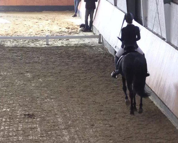 Reitturnier Datteln 2021