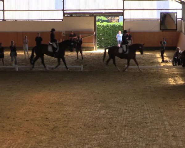 Reitturnier Datteln 2021
