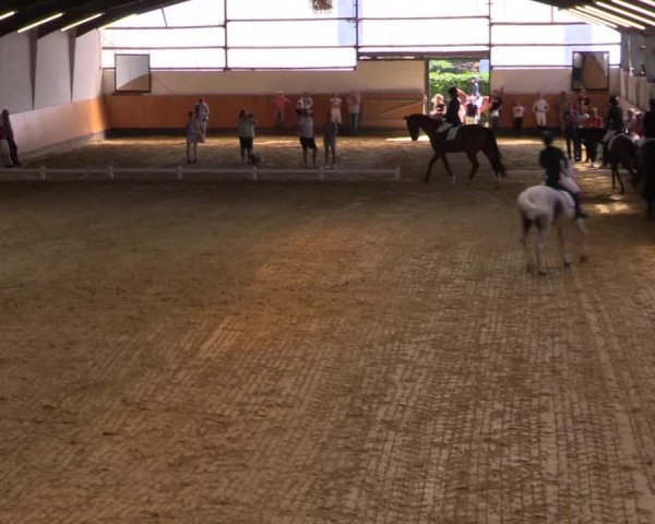 Reitturnier Datteln 2021