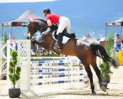 jumper Chopin 107 (Hanoverian, 2013, from Chico's Boy)