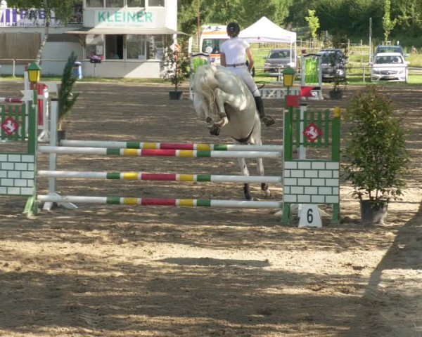 Springturnier und Reiterfest Königsbach 2021