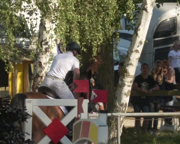 Springturnier und Reiterfest Königsbach 2021
