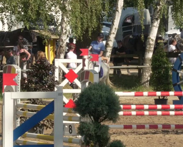 Springturnier und Reiterfest Königsbach 2021
