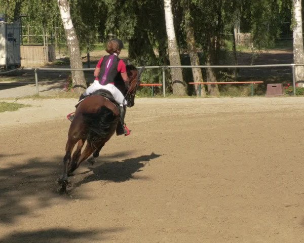 Springturnier und Reiterfest Königsbach 2021