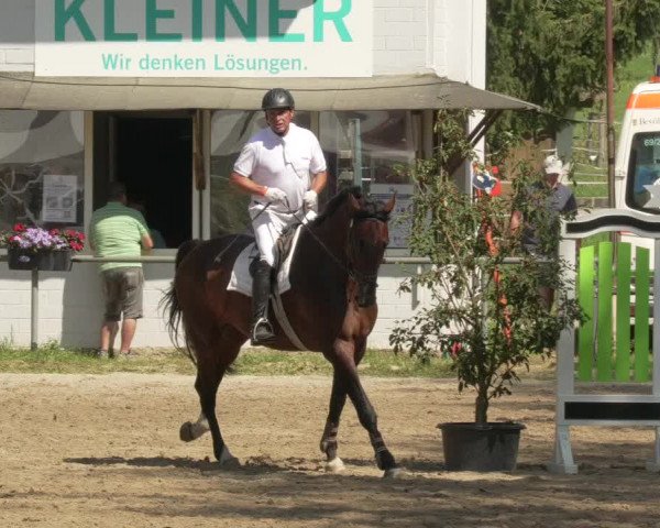 Springturnier und Reiterfest Königsbach 2021