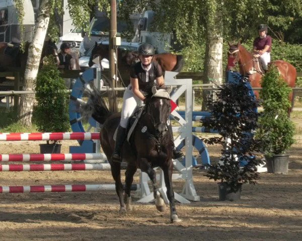 Springturnier und Reiterfest Königsbach 2021
