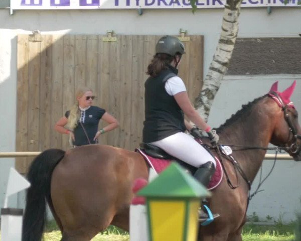 Springturnier und Reiterfest Königsbach 2021