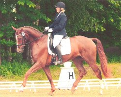 dressage horse Blue Marlin SH (Hanoverian, 2010, from Belissimo NRW)