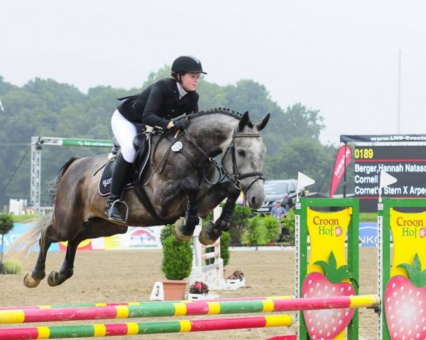 Springpferd Cornell BE (Westfale, 2010, von Cornet's Stern)