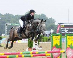Springpferd Cornell BE (Westfale, 2010, von Cornet's Stern)