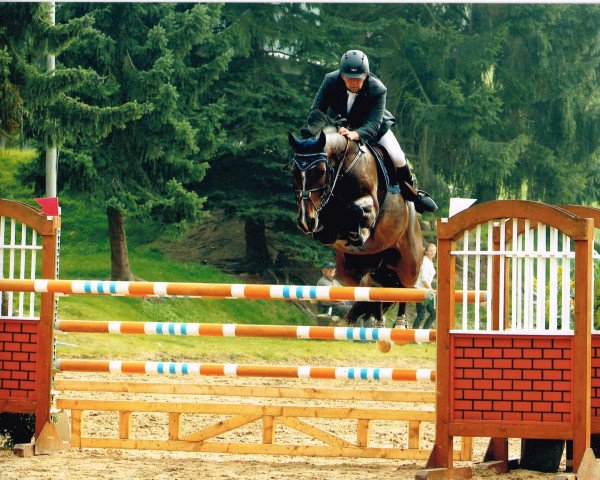 jumper Gandalf van de Haarterhoeve (Belgian Warmblood, 2006, from Cartier 187 FIN)