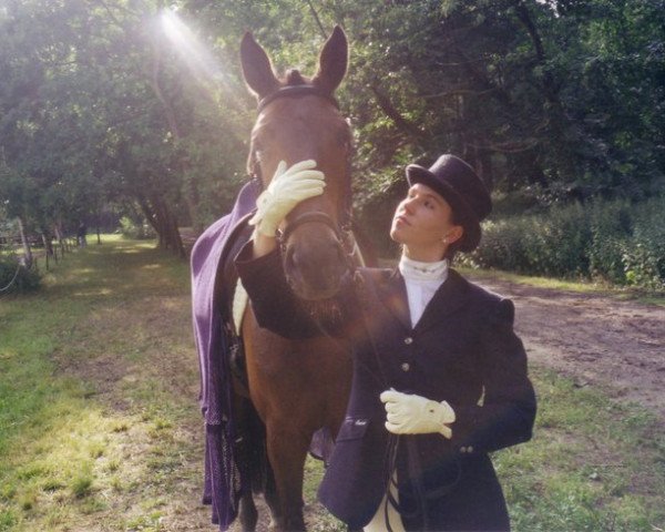 horse Pirouette VII (Trakehner, 1996, from Lehndorff's)
