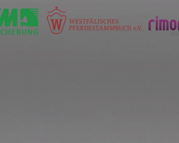Stuten- und Fohlenschau in Attendorn- Niederhelden 2016
