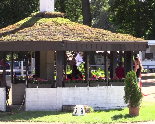 Reitturnier Datteln 2021