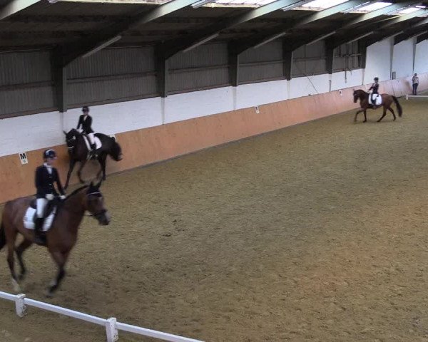 Reitturnier Datteln 2021