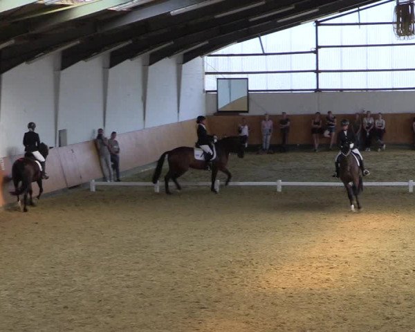 Reitturnier Datteln 2021