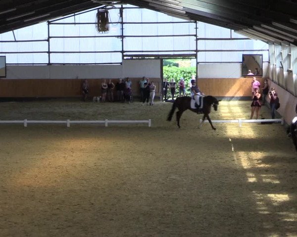 Reitturnier Datteln 2021