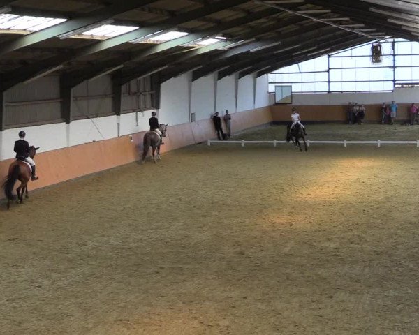 Reitturnier Datteln 2021