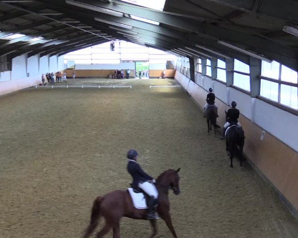 Reitturnier Datteln 2021