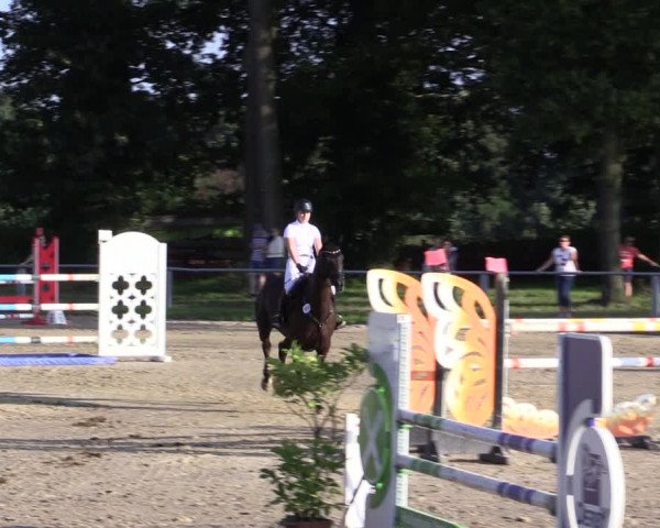 Reitturnier Datteln 2021