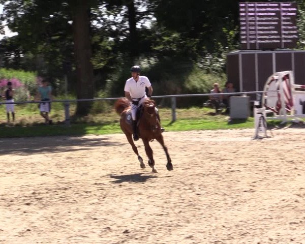 Reitturnier Datteln 2021