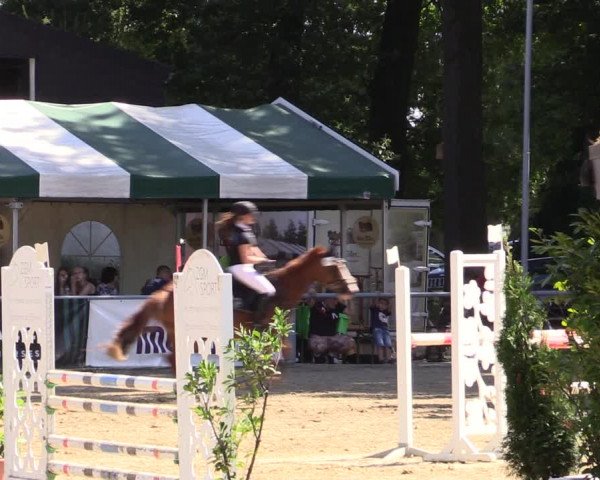 Reitturnier Datteln 2021